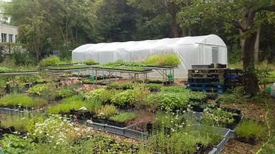 Végétalab - pépinière communale 